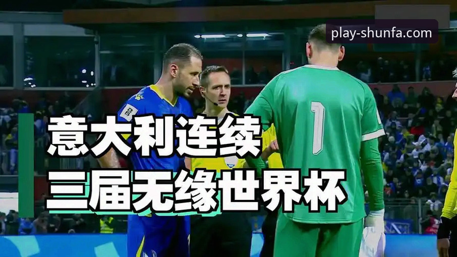波黑淘汰意大利挺进世界杯，顺发体育平台观赛操作教程